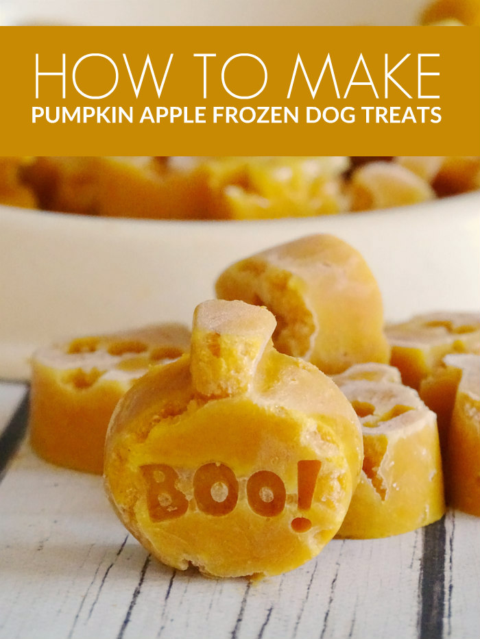 How to Make Pumpkin Apple Frozen Dog Treats