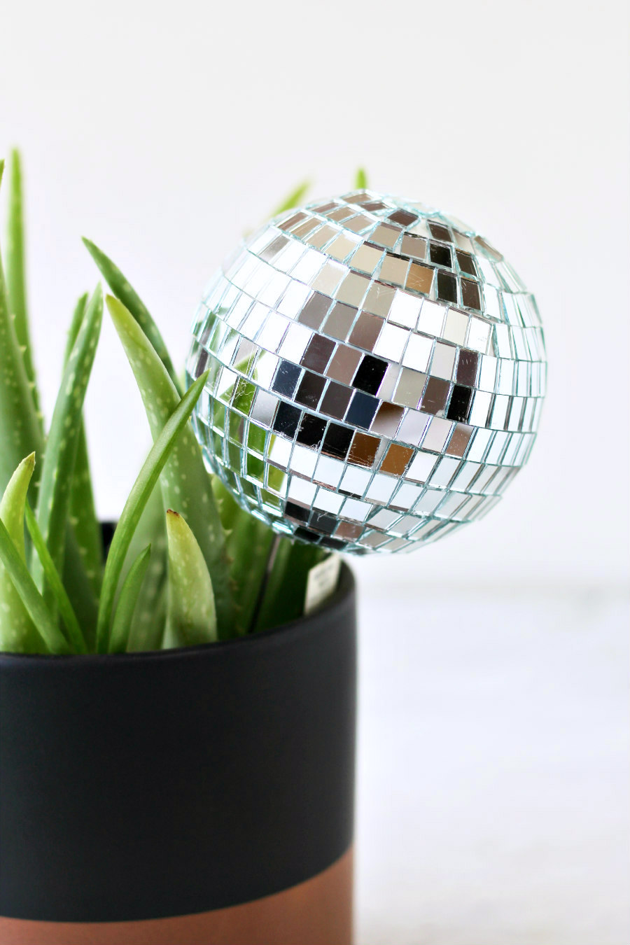 Disco Ball Plant Stake in an aloe plant.