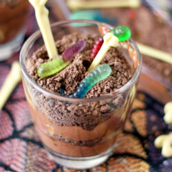 Horizontal closeup of Dirt and Worm Chocolate Pudding in glass.