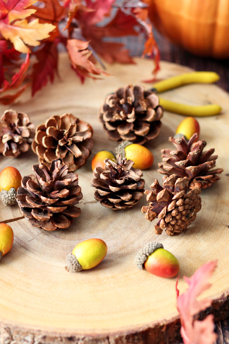 Pine cones, acorns, wire cutters, and autumn leaves on a wood slice.