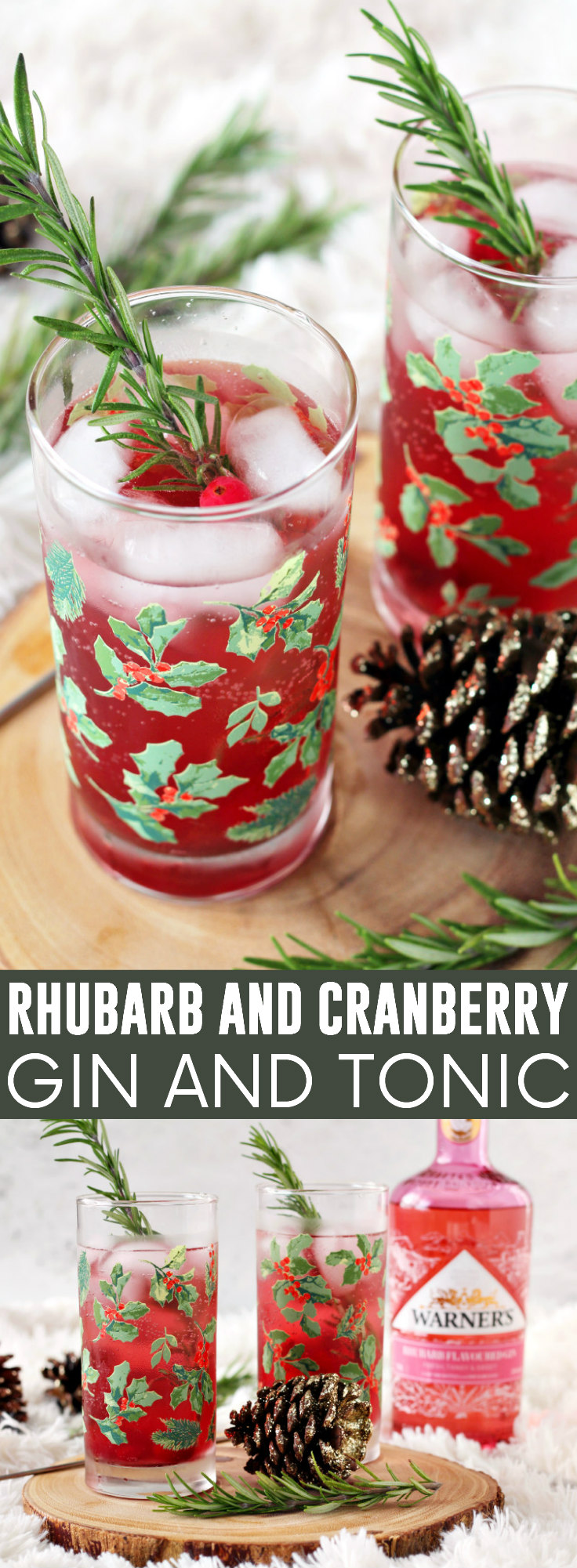 Rhubarb and Cranberry Gin and Tonic pinnable image.