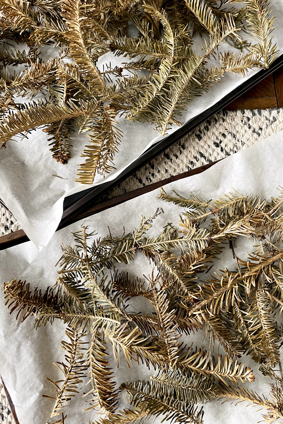 Parchment paper lined baking sheets with dried tree needles laying on them.