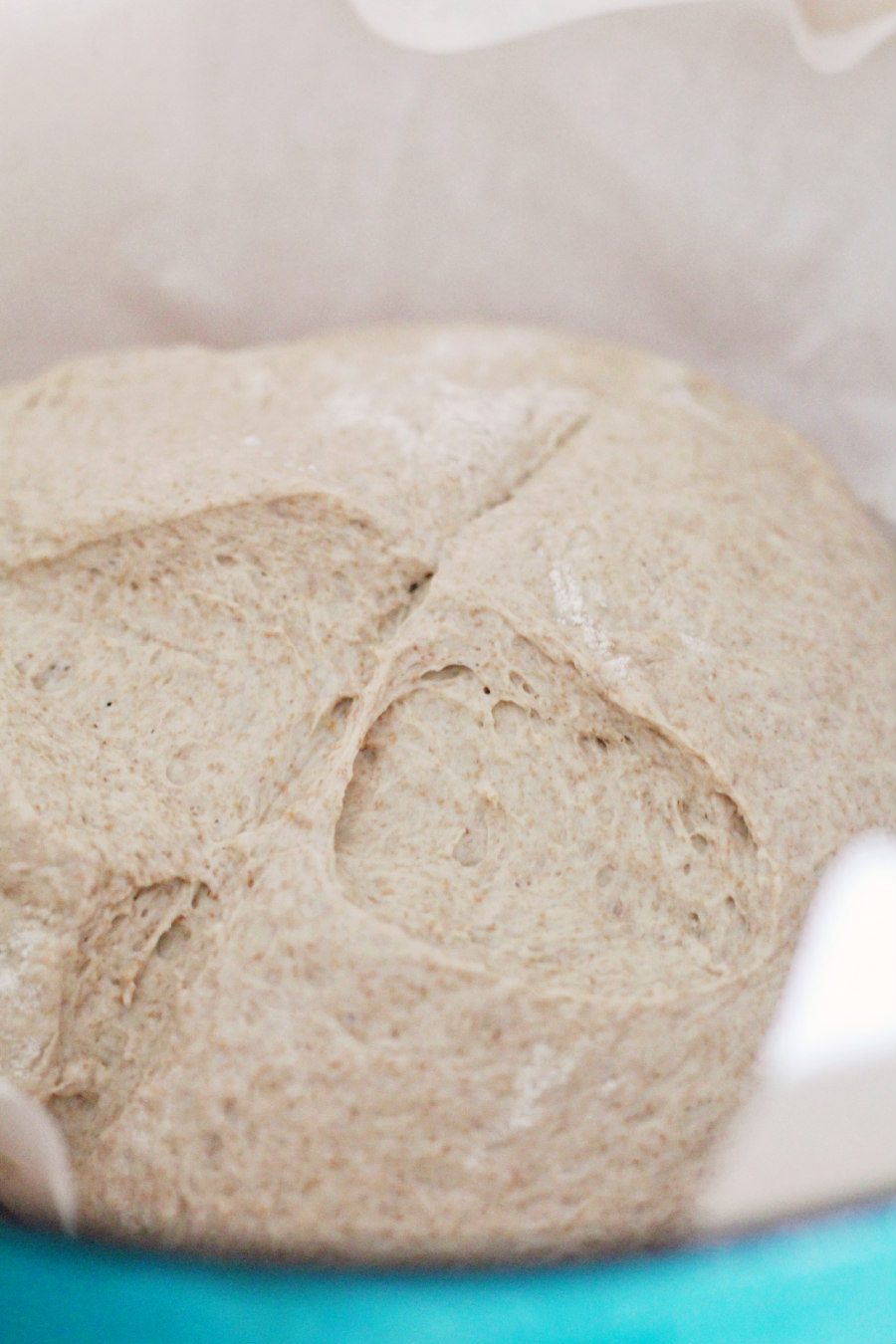 Half whole wheat bread dough on parchment paper, inside Dutch oven.