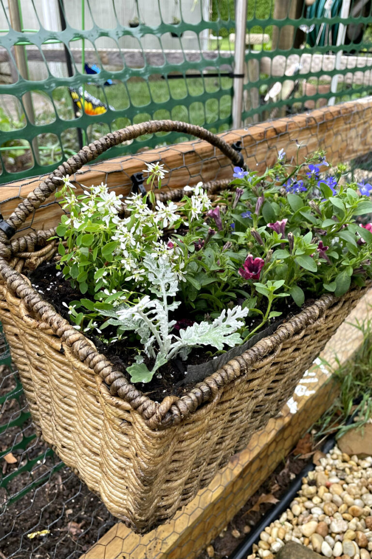 How to Turn a Woven Basket into a Planter — Holoka Home