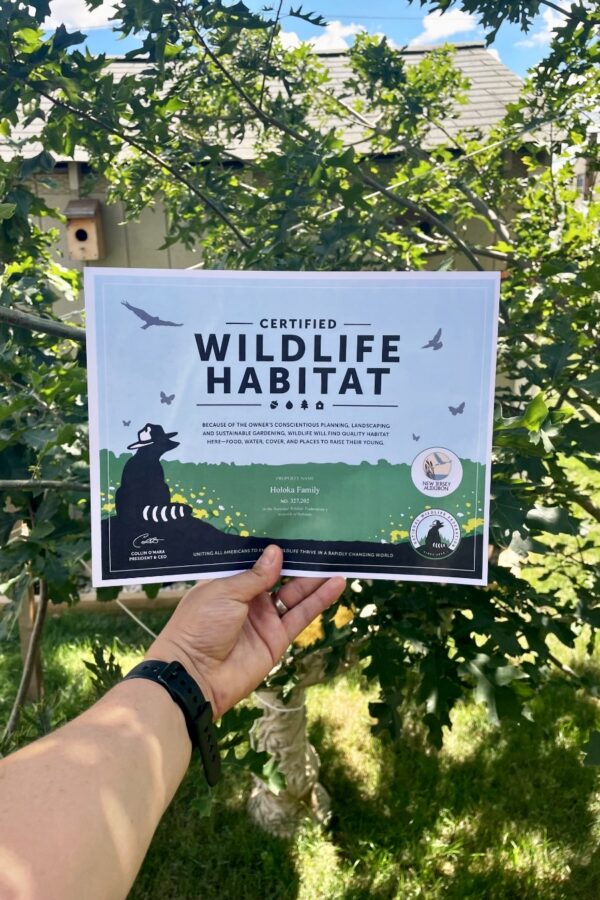 Hand holds paper Certified Wildlife Habitat certificate in front of oak trees. Shed and birdhouse in partial view in background.