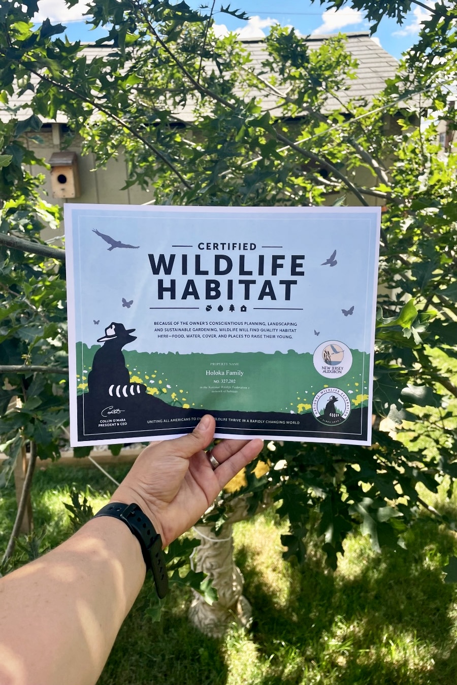 Hand holds paper Certified Wildlife Habitat certificate in front of oak trees. Shed and birdhouse in partial view in background.