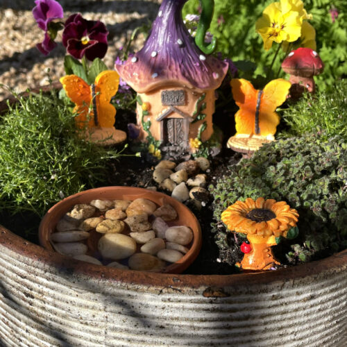 Fairy garden is planted in shallow flower pot. Garden includes Irish moss, woolly thyme, Frizzle Sizzle pansies, sweet alyssums, fairy garden decorations, and a mini bee bath made out of a tiny terracotta saucer and rocks. Bleeding heart plants in partial view in background.