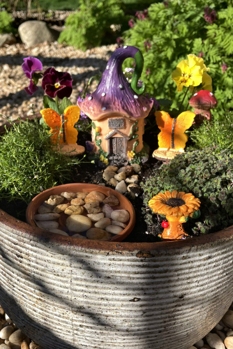 Fairy garden is planted in shallow flower pot. Garden includes Irish moss, woolly thyme, Frizzle Sizzle pansies, sweet alyssums, fairy garden decorations, and a mini bee bath made out of a tiny terracotta saucer and rocks. Bleeding heart plants in partial view in background.