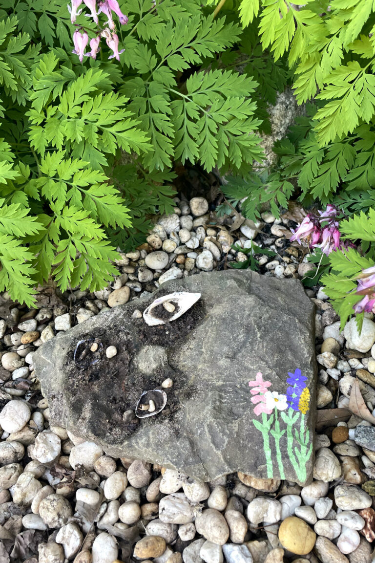 Seashell Butterfly Puddler and Sunning Stone