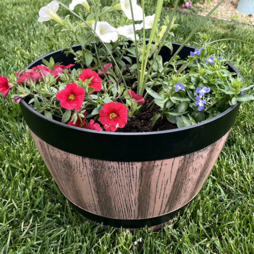 Red, white, and blue container garden sits on grass. Bleeding hearts and small bee bath in partial view in background.