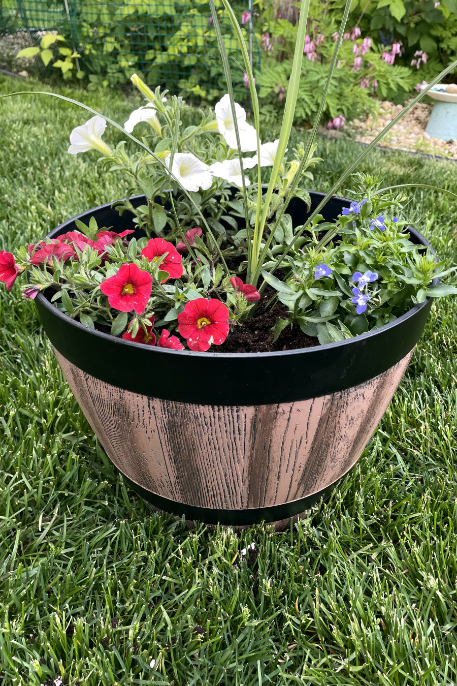 Red, white, and blue container garden sits on grass. Bleeding hearts and small bee bath in partial view in background.