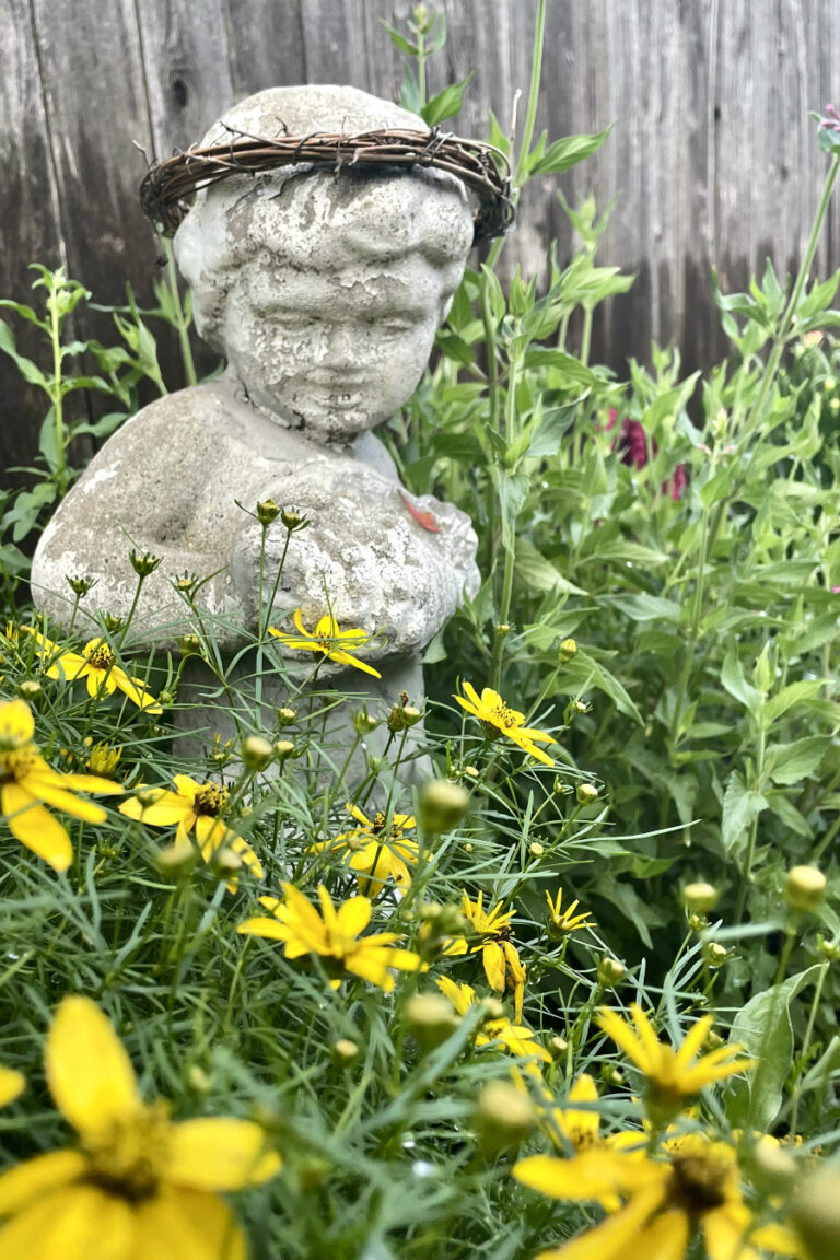 What We're Growing in Our Garden this Summer - Flowers