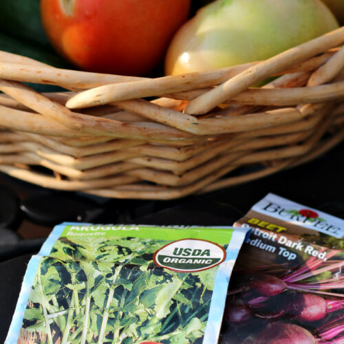 Arugula and beet seed packets sit on outdoor table in front of basket of fresh garden tomatoes and cucumbers.