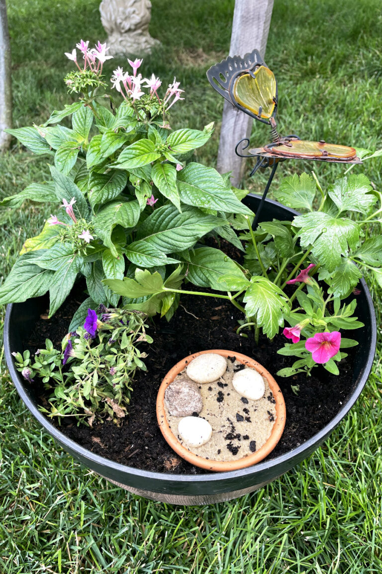 Butterfly nursery aftercare garden including purple and pink calibrachoa, pink pentas, flat leaf parsley, mini butterfly puddling station, and butterfly garden stake planted in a barrel style planter.