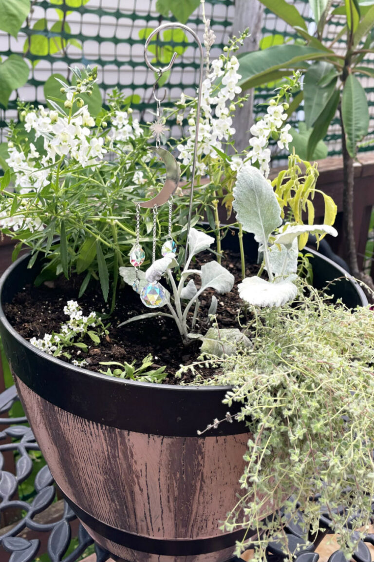 Moon garden container in barrel style planter including sweet alyssum, white angelonia, white salvia, dusty miller, creeping thyme, and a silver moon garden stake.