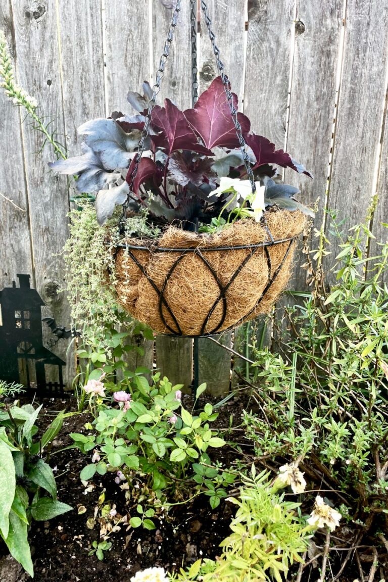 Gothic Mourning Hanging Basket is hung in overgrown pollinator garden. Wild pollinator plants and haunted house silhouette garden stake also in partial view.