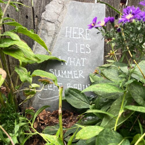 "Here Lies What Summer Left Behind" painted slate garden memorial marker is tucked behind coneflowers and asters and leaned against weathered, wooden fence in pollinator garden.