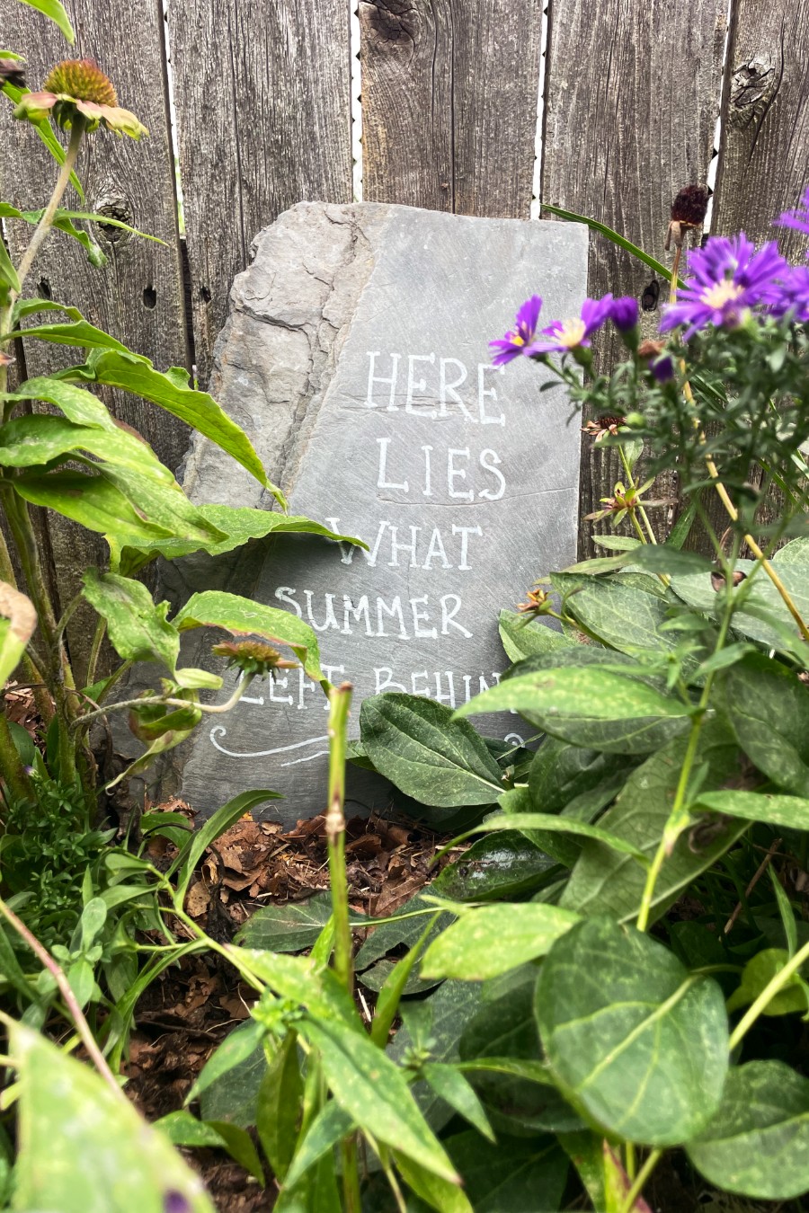 "Here Lies What Summer Left Behind" painted slate garden memorial marker is tucked behind coneflowers and asters and leaned against weathered, wooden fence in pollinator garden.